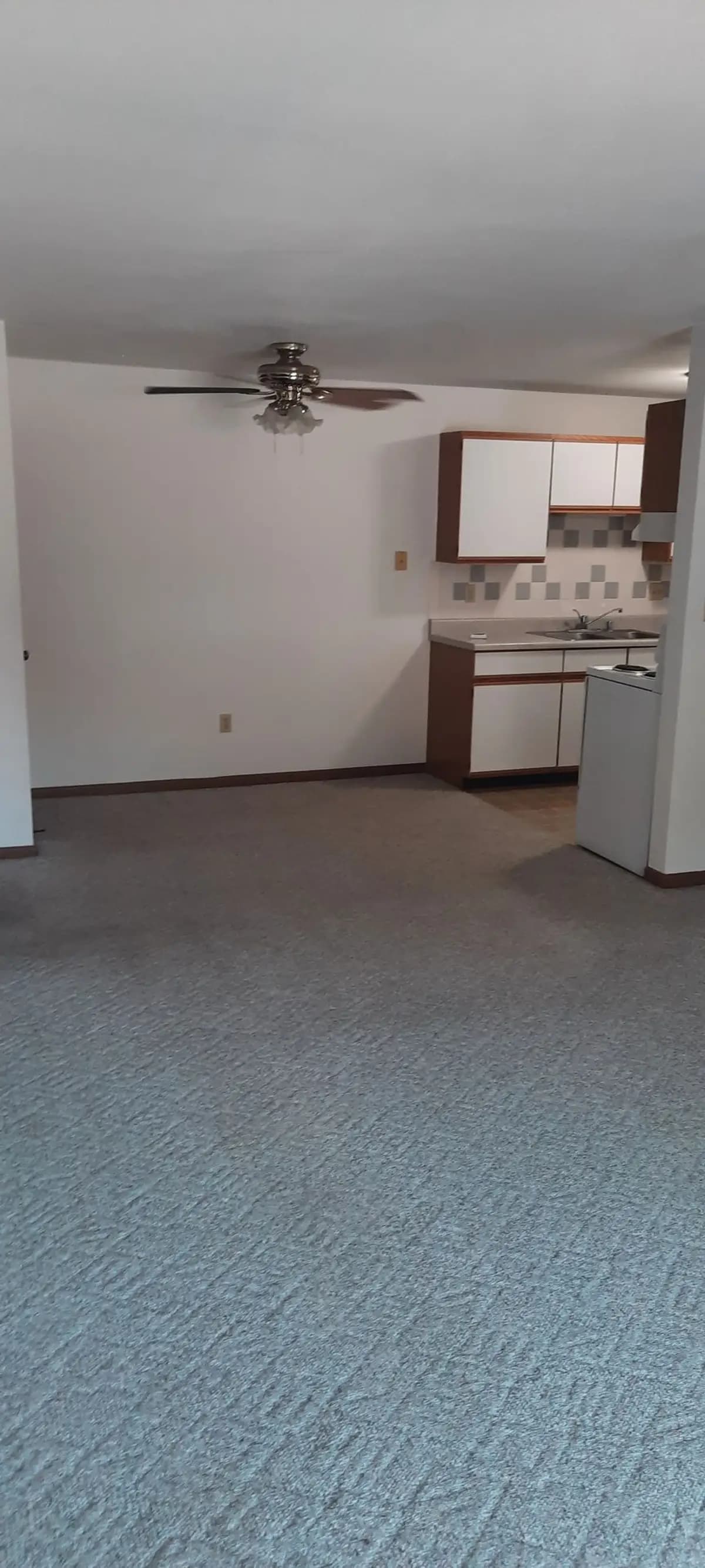 undefined apartments for rent - image - 20.jpg - 2