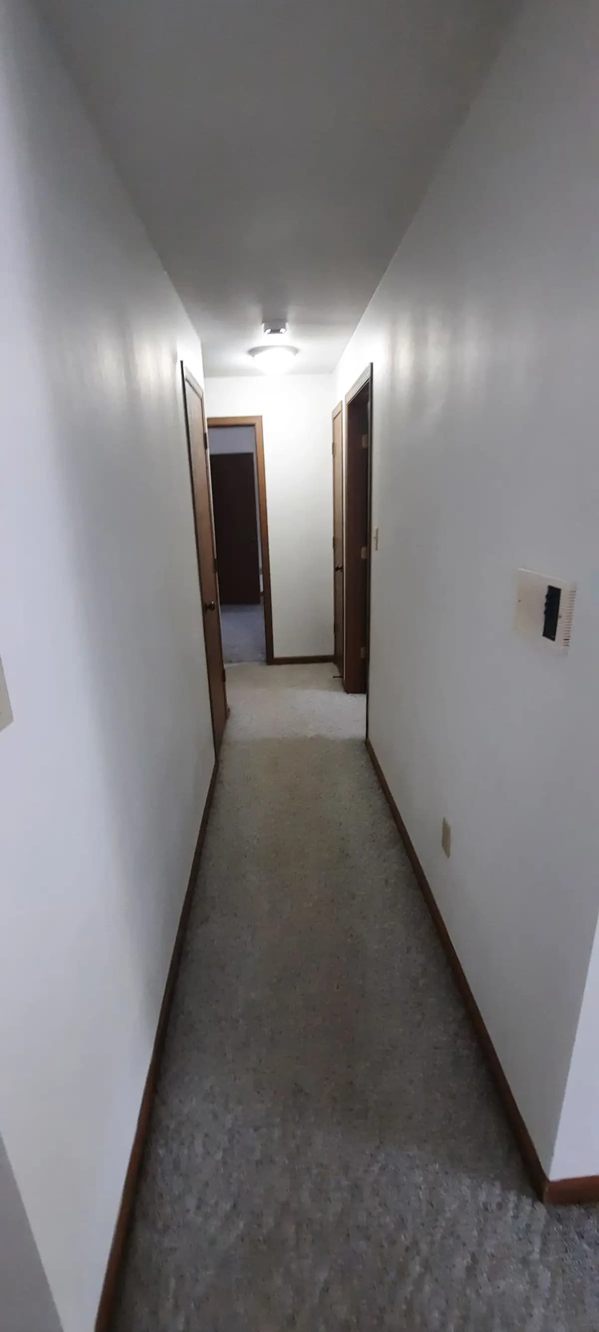 undefined apartments for rent - image - 22.jpg - 1