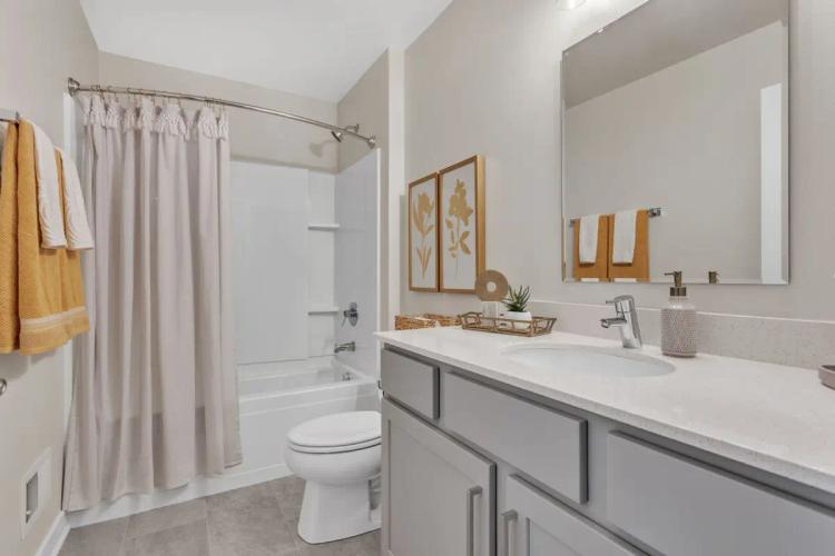 undefined apartments for rent - image - 147848474.jpg