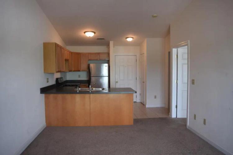 undefined apartments for rent - image - image (6).jpg