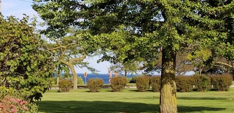 undefined apartments for rent - image - large (18).jpg