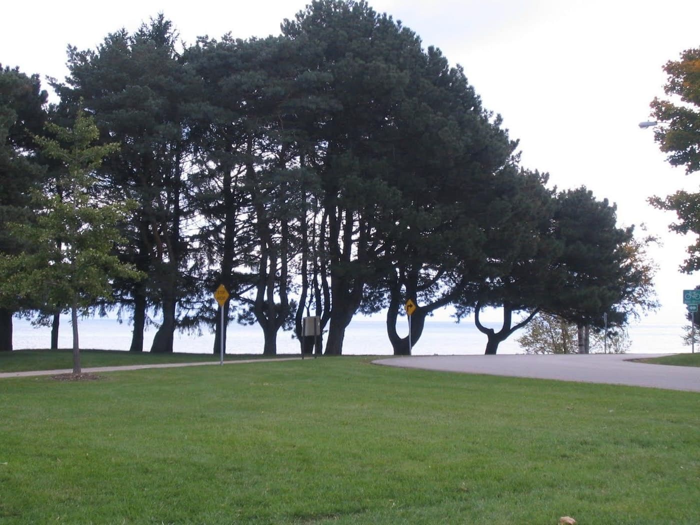 undefined apartments for rent - image - large (35).jpg - 1