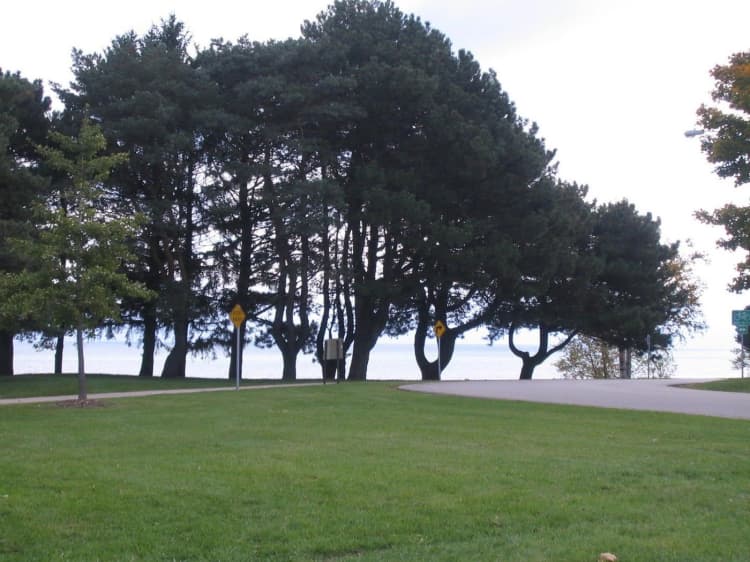 undefined apartments for rent - image - large (35).jpg