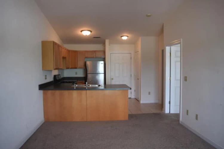 undefined apartments for rent - image - image (6).jpg
